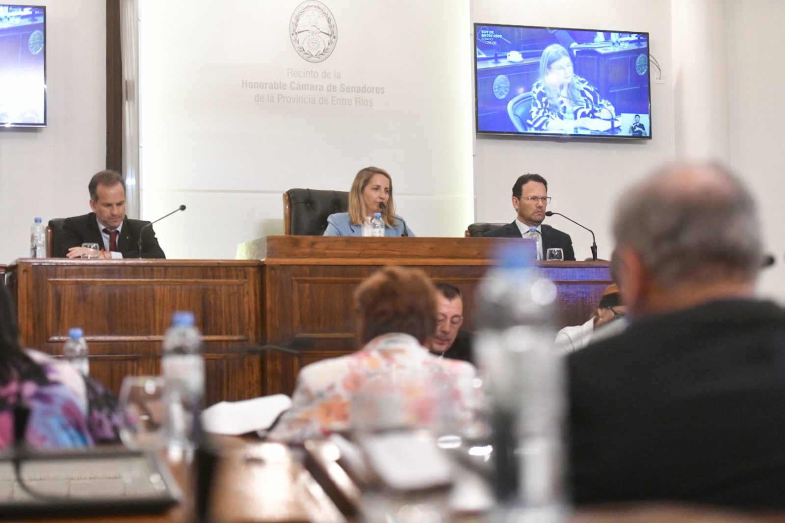 El Senado aprobó por unaminidad el presupuesto provincial 2024