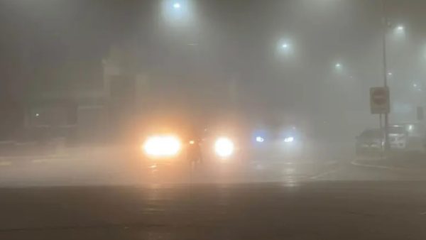 Niebla intensa