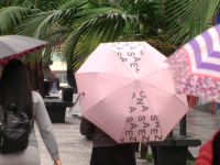 Continuarán los días grises y húmedos: rige alerta por tormentas para una zona de Entre Ríos