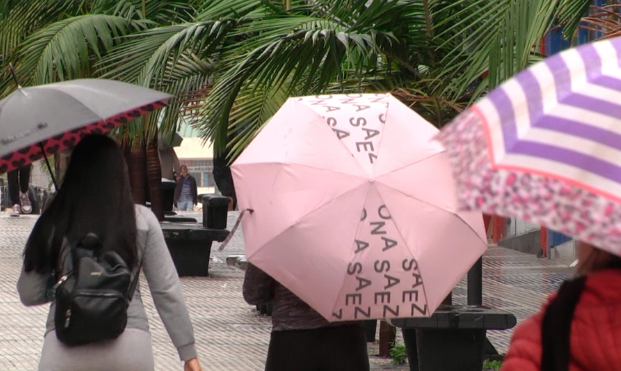 Continuarán los días grises y húmedos: rige alerta por tormentas para una zona de Entre Ríos