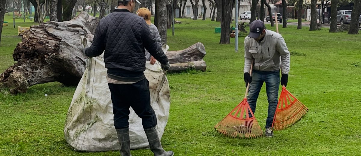 Tareas de Mantenimiento del Parque Francisco Ramírez