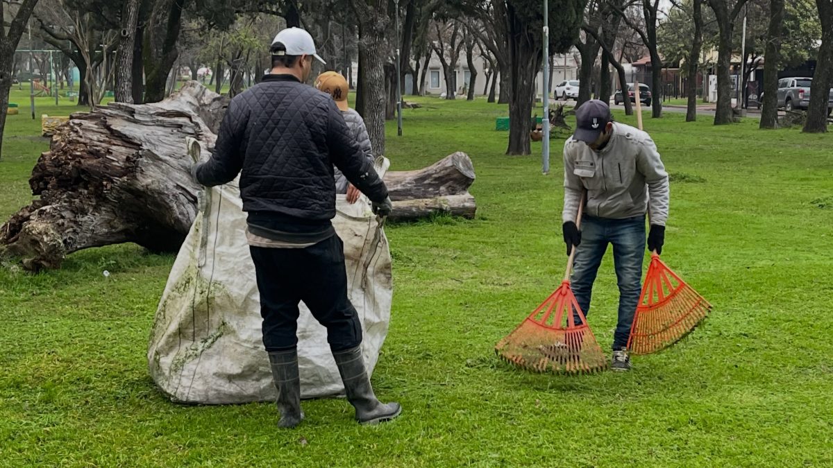 Tareas de Mantenimiento del Parque Francisco Ramírez
