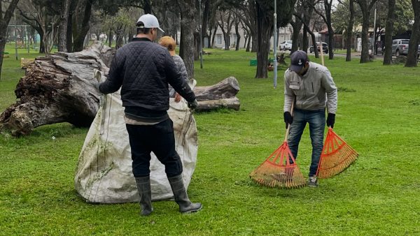 Tareas de Mantenimiento del Parque Francisco Ramírez