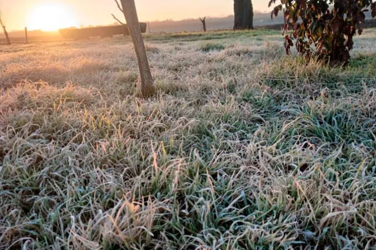 Rige una alerta por frío extremo: qué indica el pronóstico del tiempo para Entre Ríos