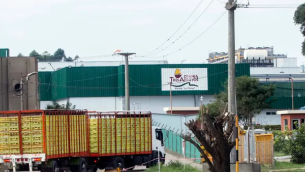 Argentina perdió más de 30.000 empresas desde diciembre de 2023: cuáles son los sectores más afectados