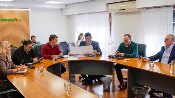 Dictamen favorable para proyectos productivos