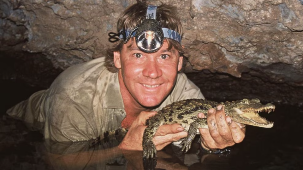 La leyenda de Steve Irwin, “el cazador de cocodrilos”: el hombre que desafió a los animales más peligrosos y su inesperada muerte