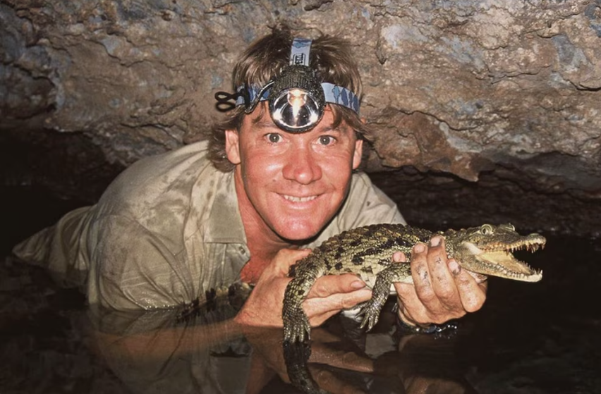 La leyenda de Steve Irwin, “el cazador de cocodrilos”: el hombre que desafió a los animales más peligrosos y su inesperada muerte