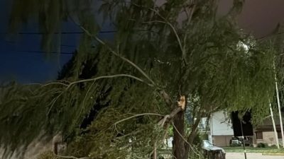 El Municipio trabajó anta las consecuencias del temporal