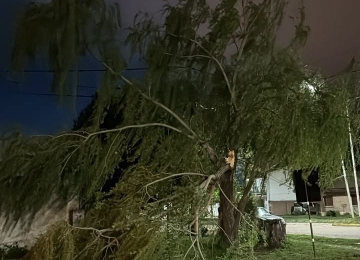 El Municipio trabajó anta las consecuencias del temporal