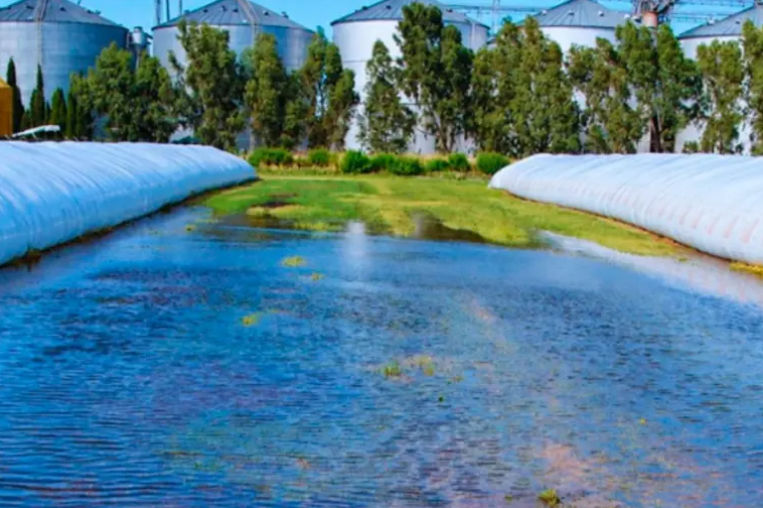 El Niño: el INTA recomendó preparar los acopios para evitar daños por lluvias